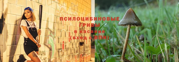 стаф Зеленодольск
