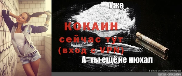 бошки Инсар