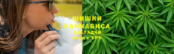 дмт Инта