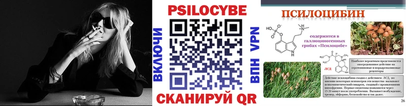 Псилоцибиновые грибы прущие грибы  Купить  Черкесск 
